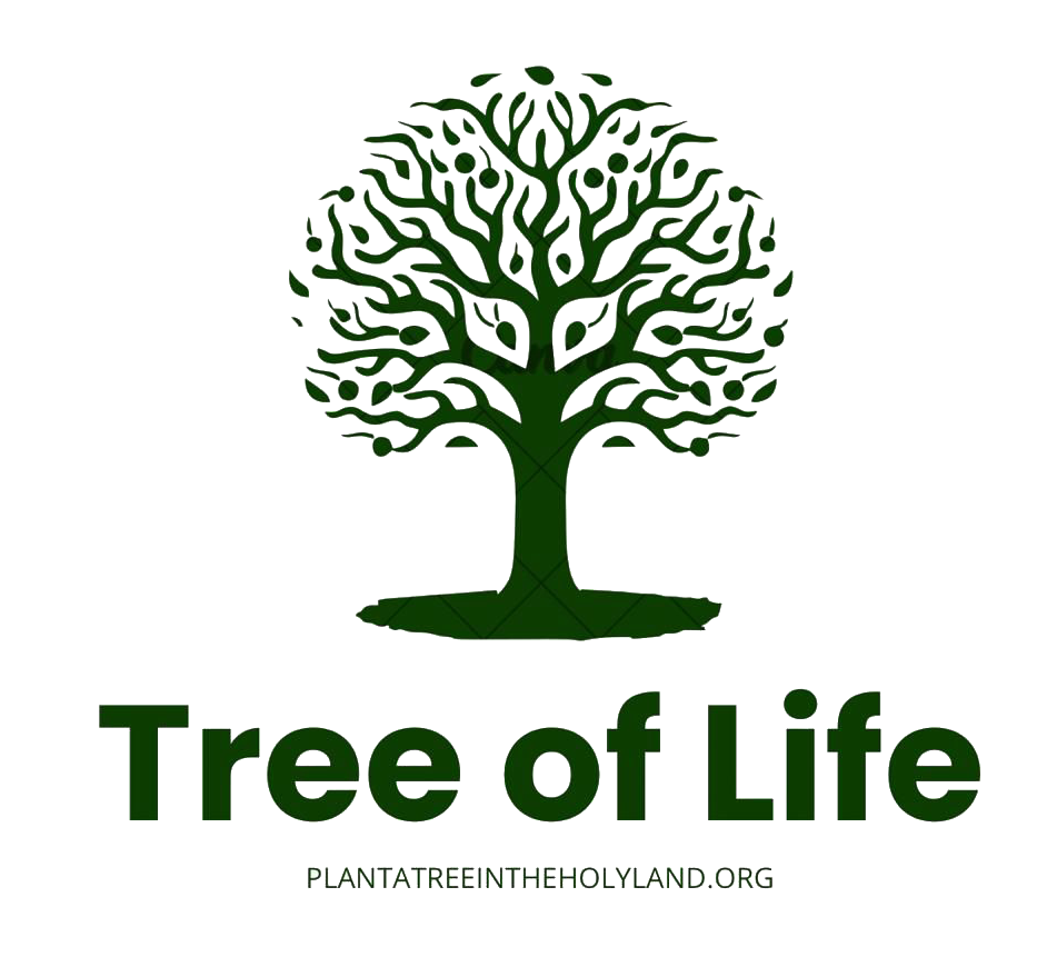 Plant Tree